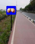 Carril_bici_en_rond.jpg