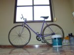 DSC01372.jpg