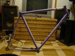 DSC02286.jpg