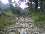 DSC00461.jpg