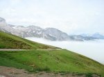 DSC00158.JPG