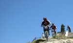 DSC_7895.jpg