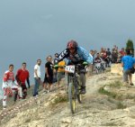 DSC_8003.jpg
