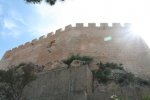 IMG_5269.jpg