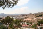 IMG_5275.jpg