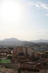 IMG_5384.jpg