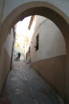 IMG_5467.jpg