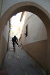 IMG_5469.jpg