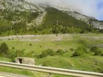 DSC00775.JPG