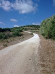 Imagen046.jpg