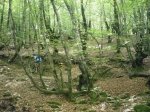 usakotxena,san ju 00003.JPG