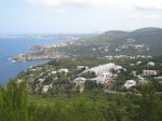 IMG_2342.jpg