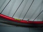 DSC04488.JPG
