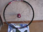 kibikes 017 (Medium).jpg