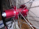 kibikes 013 (Medium).jpg