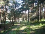 Foto10.JPG