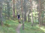 Foto11.JPG