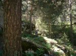 Foto14.JPG