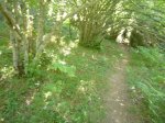 Foto19.JPG