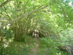 Foto20.JPG