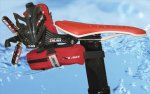 carbon_wing_complete_sm.jpg