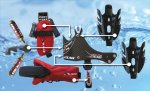 carbon_wing_exploded_sm.jpg