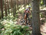Foto30.JPG