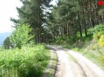 foromtb_image_07jun_05_num.jpg