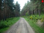 foromtb_image_07jun_06_num.jpg