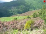 foromtb_image_07jun_07_num.jpg