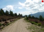 foromtb_image_07jun_08_num.jpg