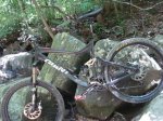 DSC00656.jpg