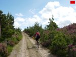 foromtb_image_07jun_11_num.jpg