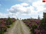 foromtb_image_07jun_12_num.jpg