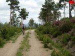 foromtb_image_07jun_16_num.jpg
