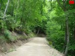 foromtb_image_07jun_17_num.jpg