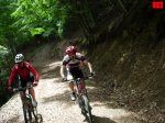 foromtb_image_07jun_18_num.jpg