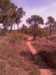IMAG0320.jpg