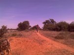 IMAG0327.jpg