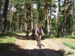 DSCI0418_800x600.jpg