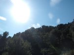 DSCF3996.JPG
