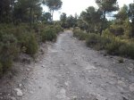 DSCF4007.JPG