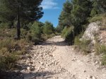 DSCF4037.jpg
