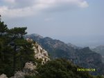 SL270994.JPG