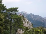 SL270996buena.jpg