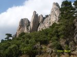 SL271041.JPG