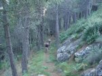 Puerto el Arenal 2009 050.jpg