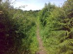 27062009719.jpg