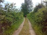 27062009726.jpg