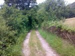 27062009727.jpg